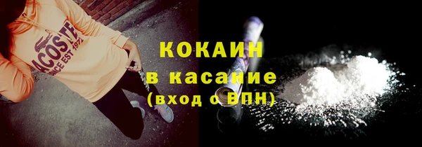 трава Новозыбков