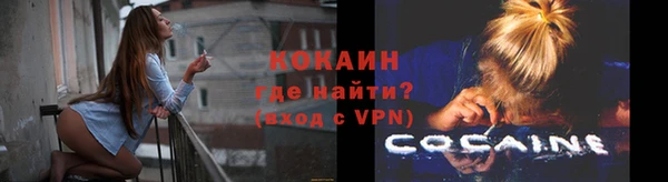 сатива Нязепетровск