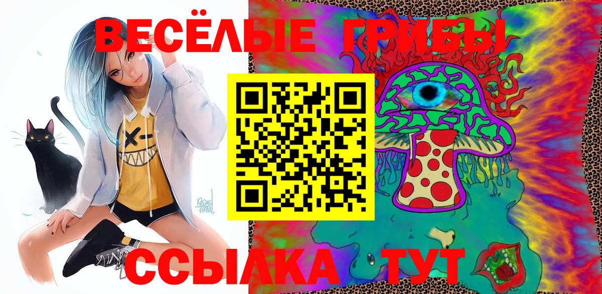 Псилоцибиновые грибы мицелий Барнаул