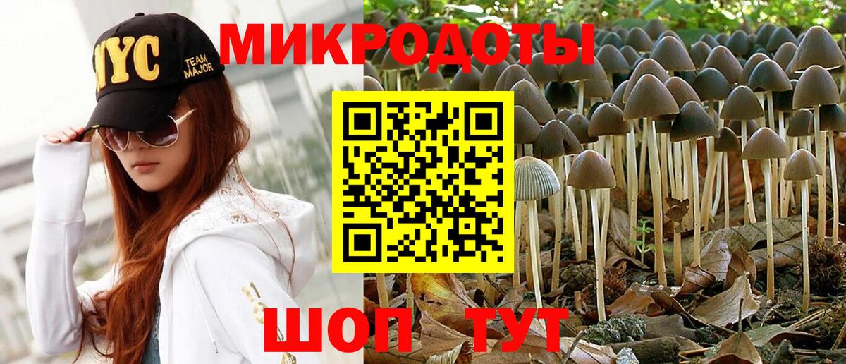 Барнаул  Псилоцибиновые грибы Psilocybine cubensis  Вход с VPN  Галлюциногенные грибы GOLDEN TEACHER 