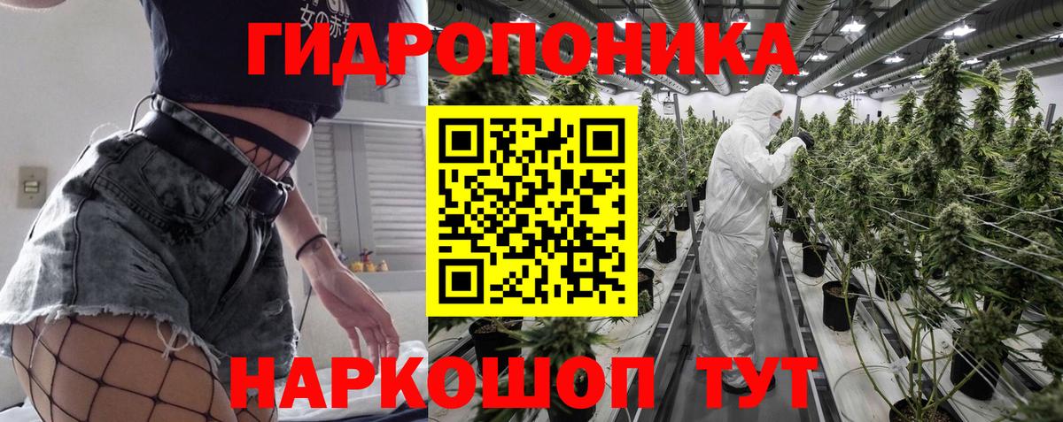 Конопля Bruce Banner Барнаул